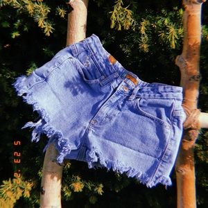 Aura (from the women at wrangler) , shorts , size xs